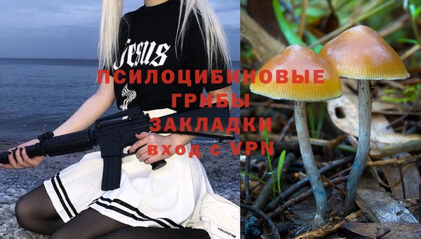 гидра Бородино