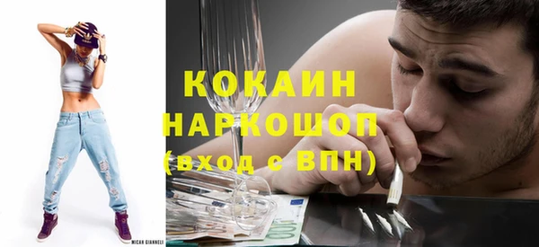 гидра Бородино