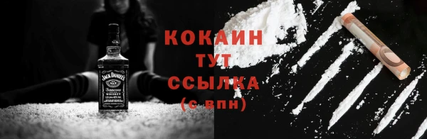 гидра Бородино