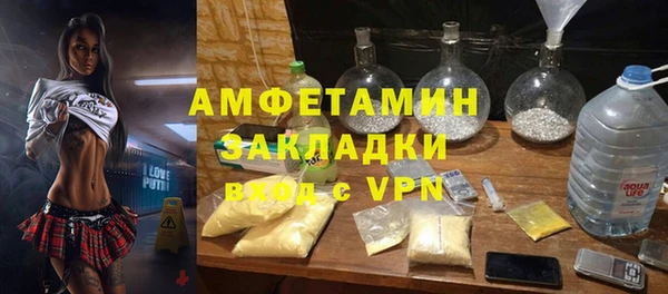 гидра Бородино