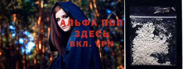 гидра Бородино