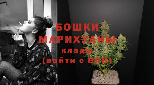 гидра Бородино